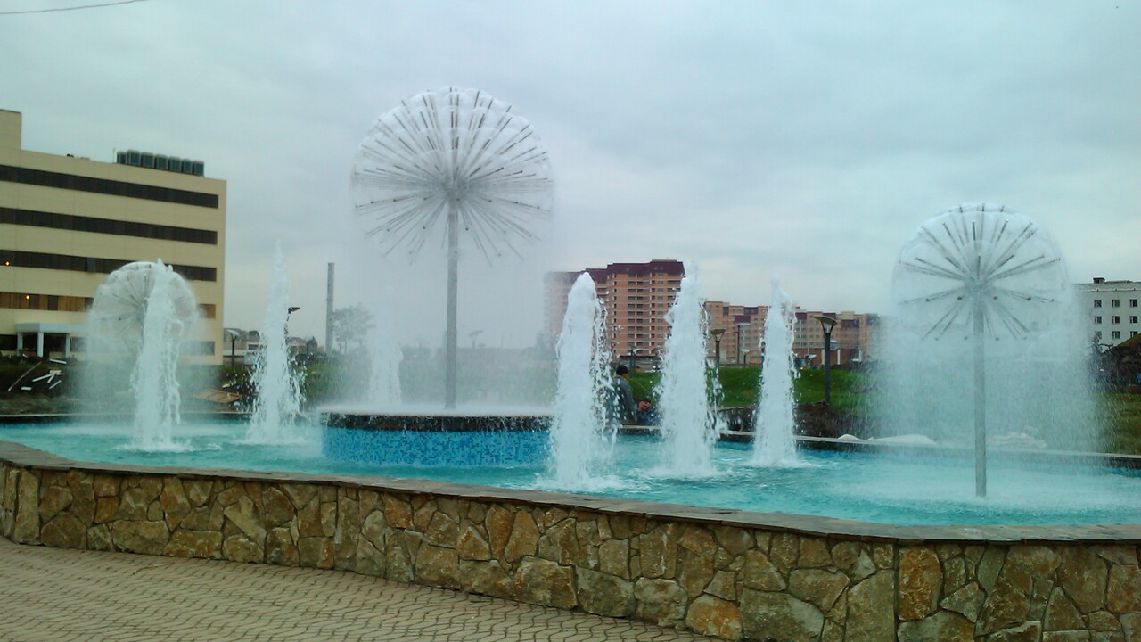 1650293900_254104_55.jpg